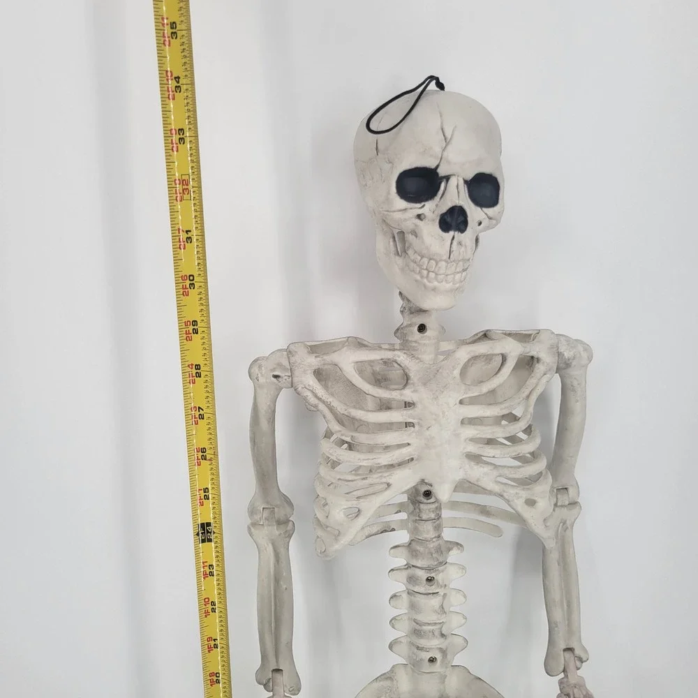 36 Inch Posable Halloween Skeleton Prop Realistic Weathered Bone Decor Hanging